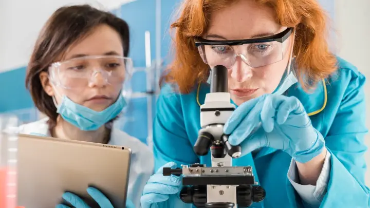 Нетронутый скифский курган обнаружили археологи из Петербурга в Тыве: найдено более 700 артефактов