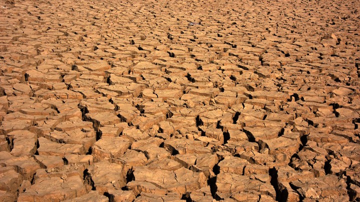 Миру предрекли небывалый голод: Россия может пострадать даже больше остальных