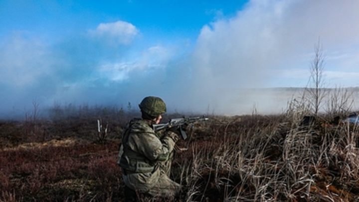 В сети появилось видео с уничтоженными на Змеином острове десантниками ВСУ