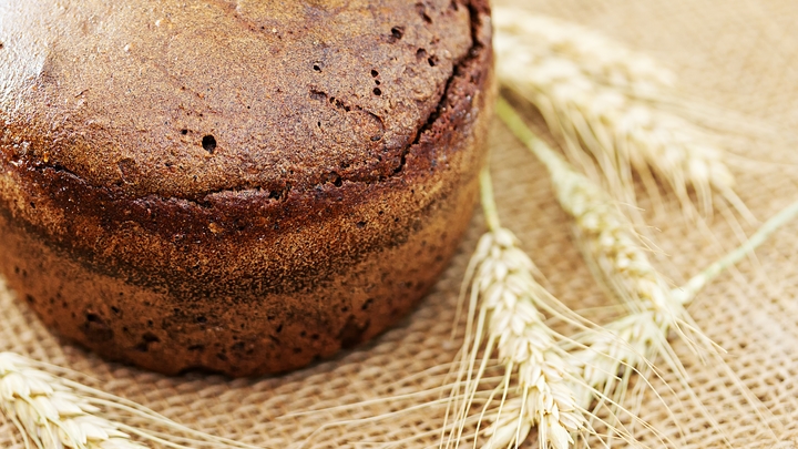 Россия останется без хлеба? Синоптики пугают неурожаем