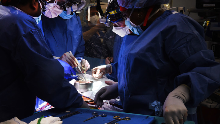 В США скончался мужчина с сердцем свиньи