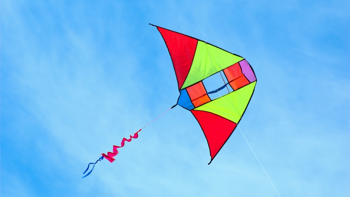 Житель Каширы перепутал воздушного змея с дроном и заявил в полицию