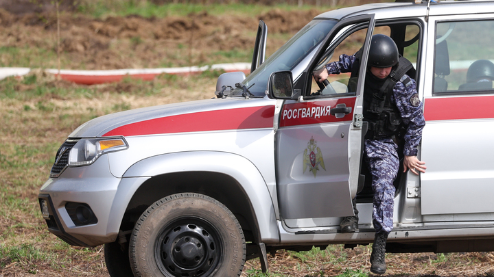 МВД и Росгвардии могут разрешить сдавать конфискованное оружие на фронт. Законопроект уже в Думе