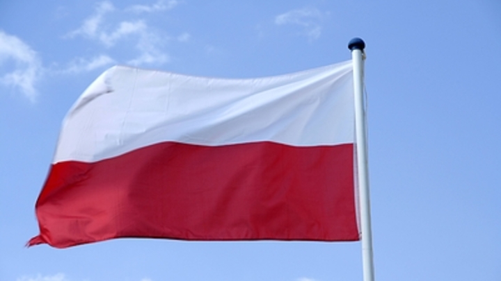 Польша боится объявить войну России без мандата НАТО - эксперт