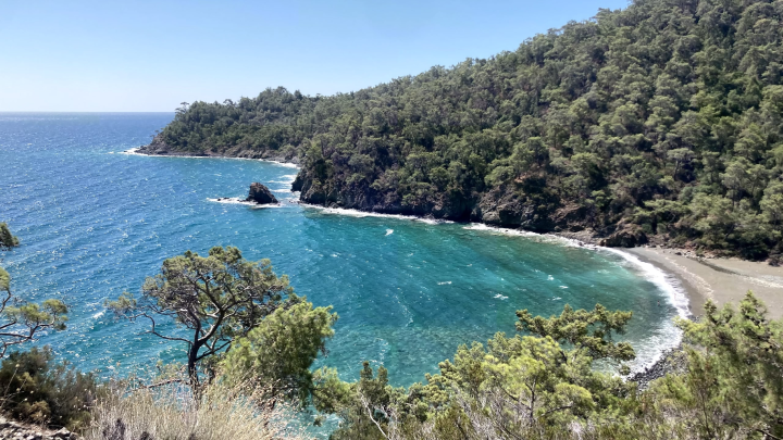 Azur Air будет возить на курорты Турции лишь пассажиров Wildberries