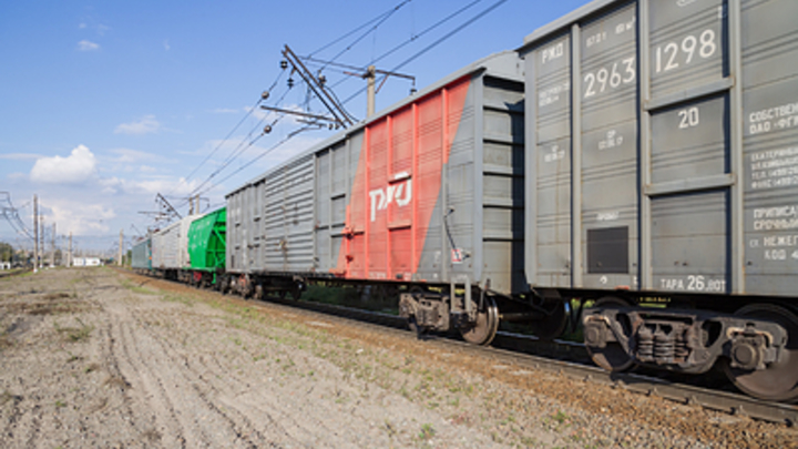 Из России вывозят пшеницу и сахар тоннами. Пограничники остановили груз