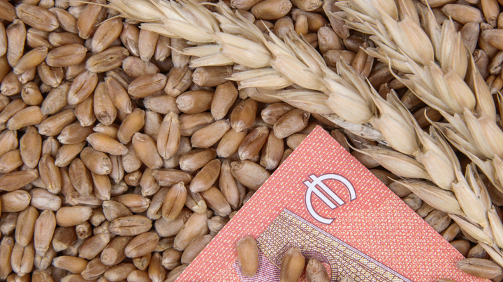 Европейские партнёры ударили в спину. На Украине вот-вот откроется второй фронт