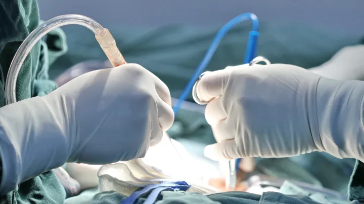 Погиб, воскрес, принёс послание: Невероятное уместилось в несколько минут