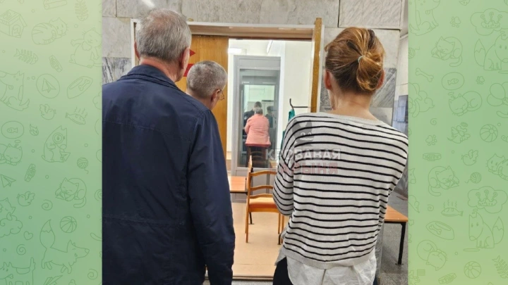 Пенсионерка из Подмосковья может сесть на 15 лет за «звёзды» в Telegram