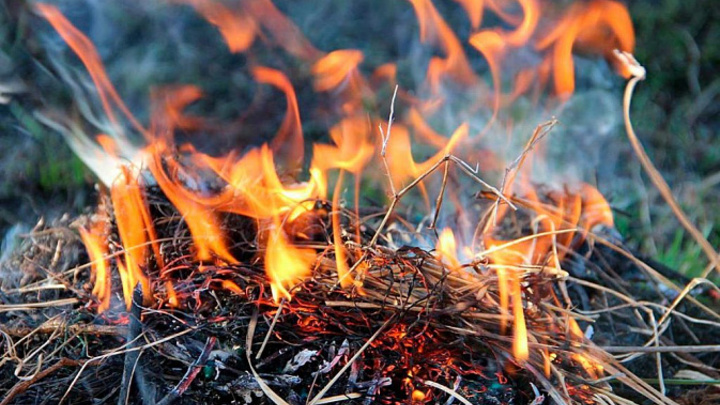 В Сочи сохранится высокая пожароопасность 4 класса