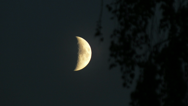 Врач объяснил, почему возникают галлюцинации перед сном
