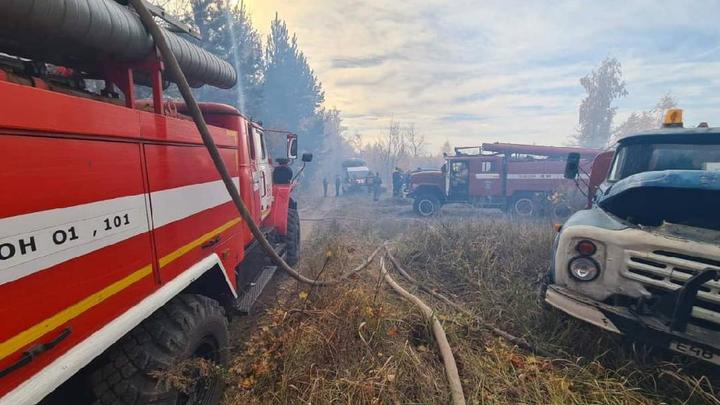 В лесу Тольятти произошел третий серьёзный пожар за 2021 год