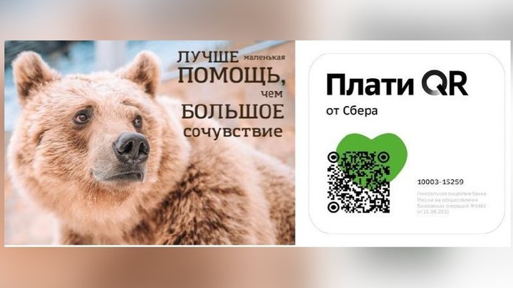 Челябинский зоопарк поможет зоопаркам и аквариумам Донбасса и Украины