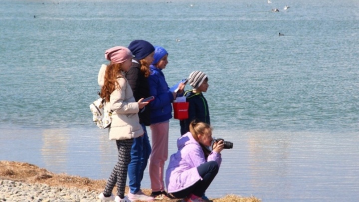 В Новороссийске стартовал межрегиональный орнитологический фестиваль