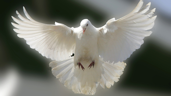 Когда закончится СВО: почему прогнозы специалистов разнятся от двух недель до 10 лет