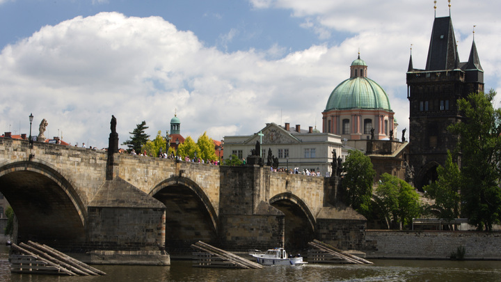 Чешский депутат о властях страны: Сыграли роль полезных идиотов