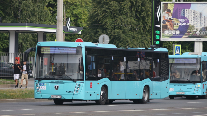 В Петербурге мигрант набросился с кулаками на водителя и кондуктора автобуса
