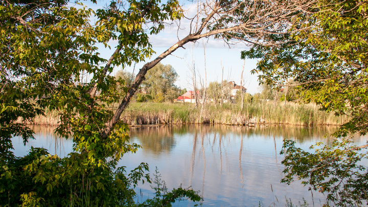 Рваные раны, ожоги, скотч и записка: В Петербурге при странных обстоятельствах найдено тело женщины
