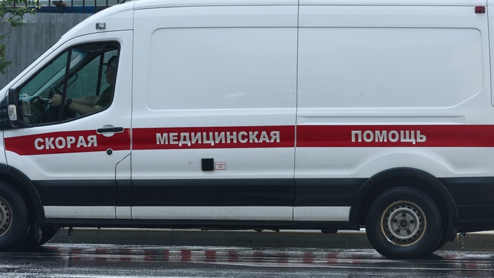 Два человека погибли в ДТП на трассе М-12 в Нижегородской области