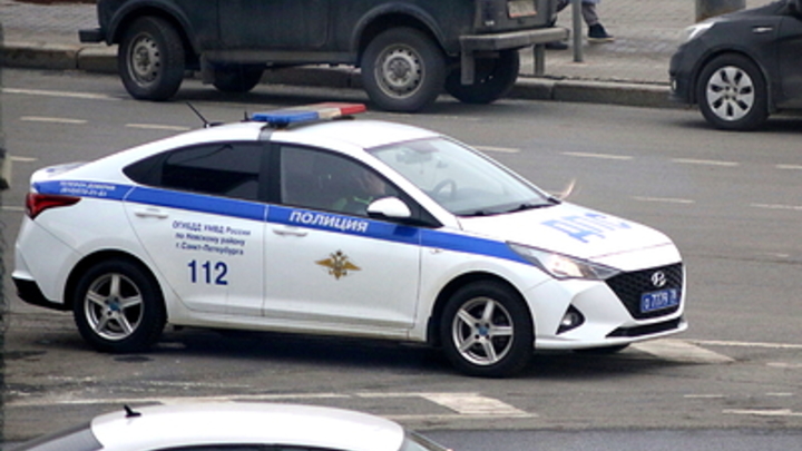Обман в Тиндере: В Петербурге полиция задержала целую банду девиц и дельцов