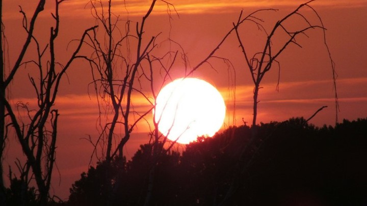 Ждать ли прихода аномальной жары из Европы: Метеоролог дал прогноз