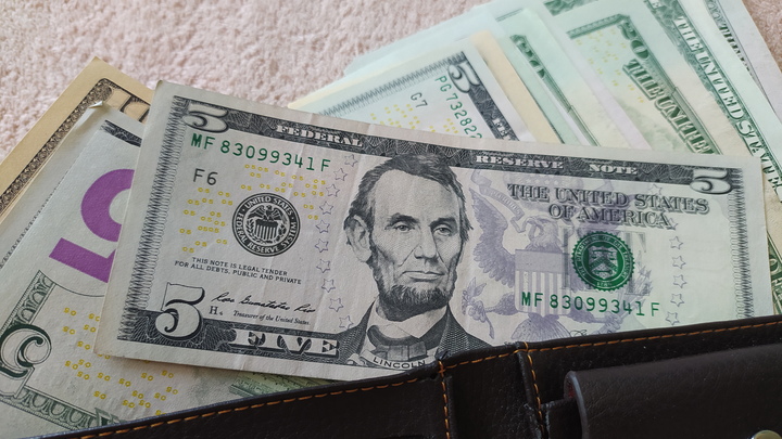 Что делать с долларами в России: В ЦБ объяснили, как не прогореть из-за санкций