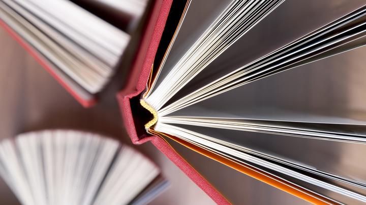 В освобождённые регионы доставят более 100 тысяч русских книг — Сальдо