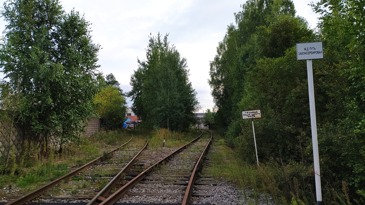 В Брянской области из-за взрыва с рельс сошел грузовой поезд