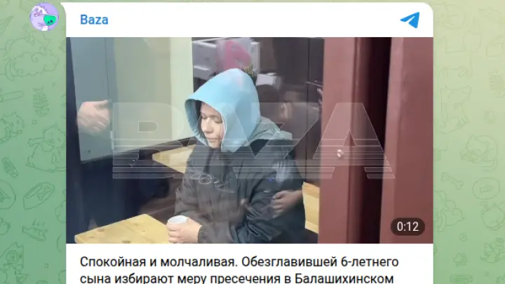 Депутат Госдумы: Розовые очки опеки виновны в убийстве 6-летнего мальчика в Балашихе