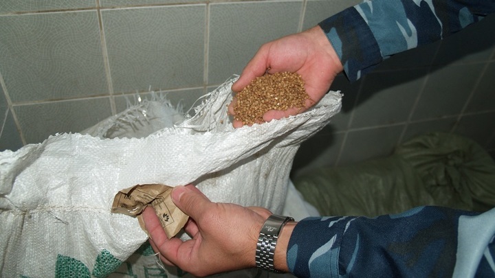 На Украине массово воруют продукты питания, предназначенные для бойцов ВСУ