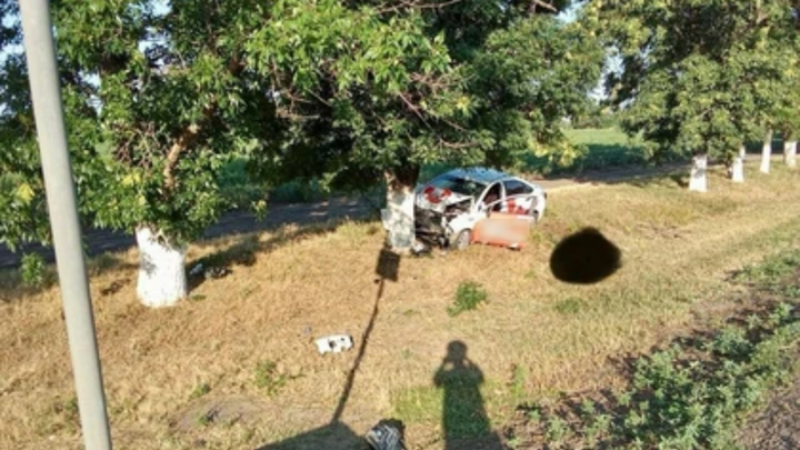 Врезался в дерево и погиб: на Кубани 21-летний водитель попал в ДТП