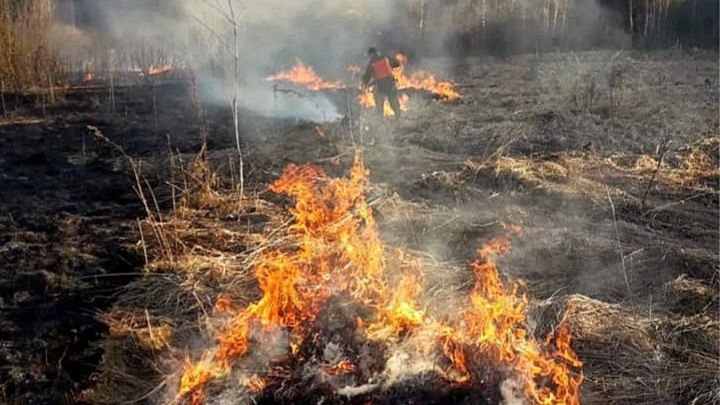 В Подмосковье за майские праздники потушили шесть лесных пожаров