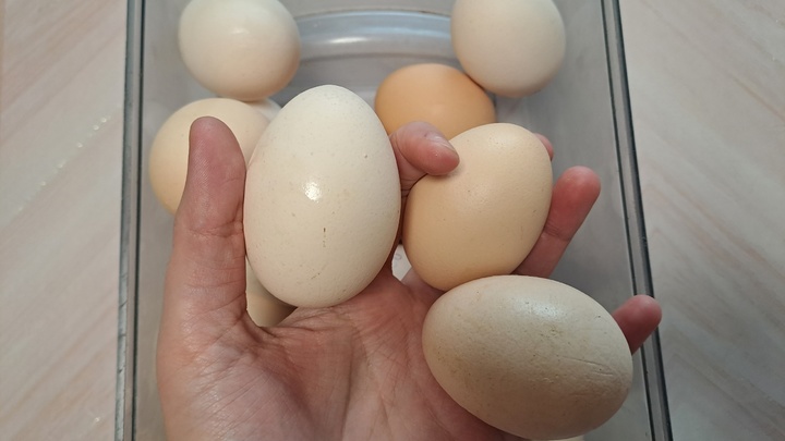 В ФАС заинтересовались, почему в России взлетели цены на яйца