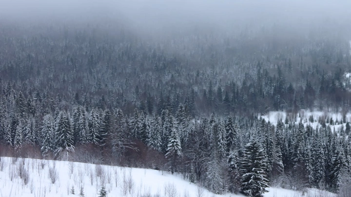 Воздушный коридор авиакатастроф: Выживший провёл 40 дней в тайге в 55-градусный мороз