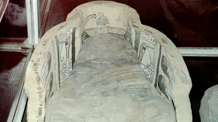 В гробнице Тутанхамона нашли жуткие доказательства страшного ритуала