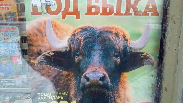 Во Владимирской области разгорелся скандал из-за хамского ответа главы администрации депутату