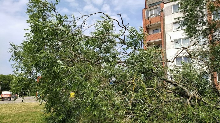 Ураган в Курске: Что известно о жертвах