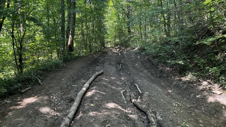 В Горячем Ключе грибник-пенсионер трое суток блуждал по лесу