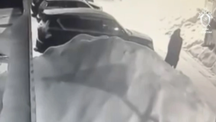 Виноват садовник? Пенсионер пытался подорвать бизнесмена во Фрязине из-за дачи