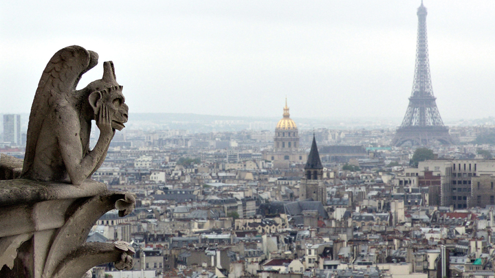 Французов просят не бояться клопов в автобусах и ждать законопроекта против кровососов