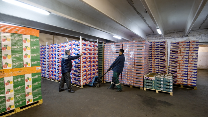 Экспорт подмосковной агропродукции за 5 месяцев превысил полмиллиарда долларов