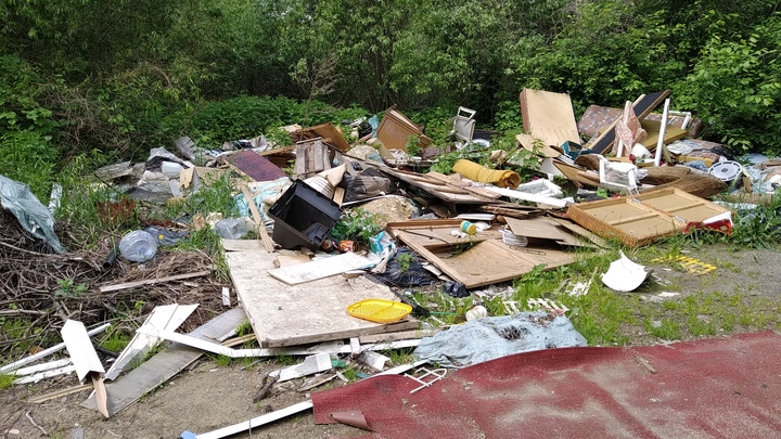 Во Владимирской области на сельскохозяйственных землях обнаружено 37 незаконных свалок