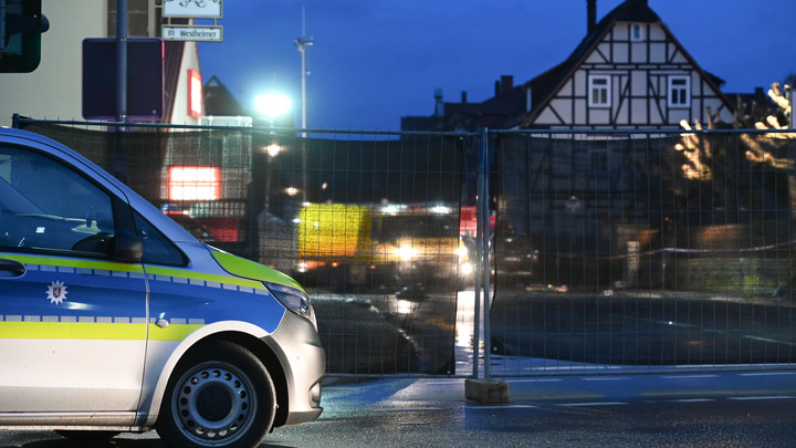 Полурыба-полукрокодил: Ребёнок по дороге в школу столкнулся с неведомым монстром