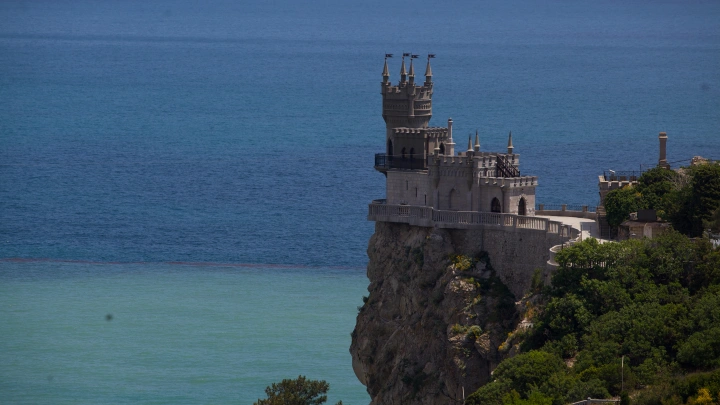 Исповедь живодёра: Вот почему погибла знаменитая кошка Муся в Ласточкином Гнезде