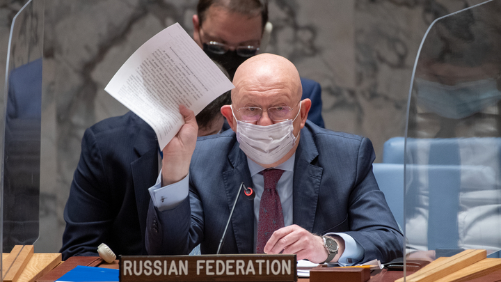 Последствия будут ужасающими: Чем постпред США вызвала гнев Небензи в ООН