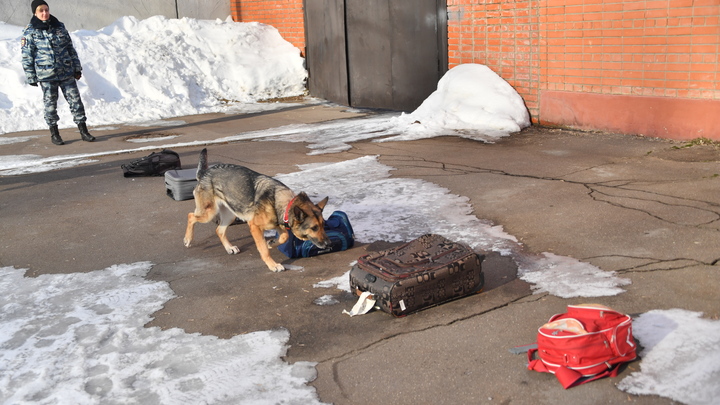 В Алматы сообщили о минировании нескольких объектов