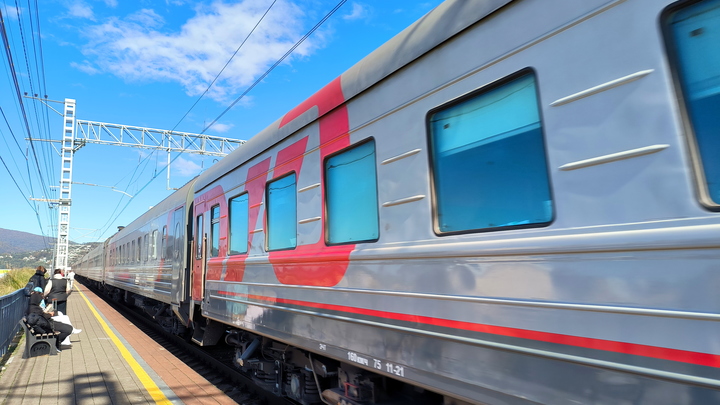Двое взрослых и ребёнок попали под электричку в Орехово-Зуево