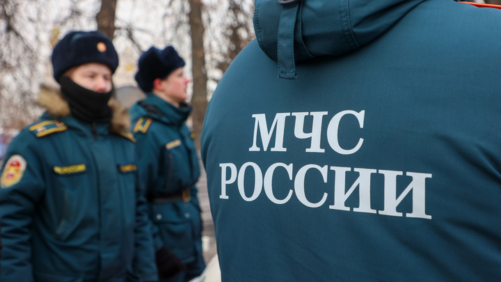 Один посреди леса: отшельника пришлось буквально вытаскивать из заснеженной деревни