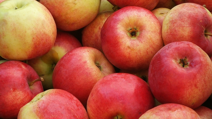 Патрушев поручил остановить рост цен на продукты за две недели