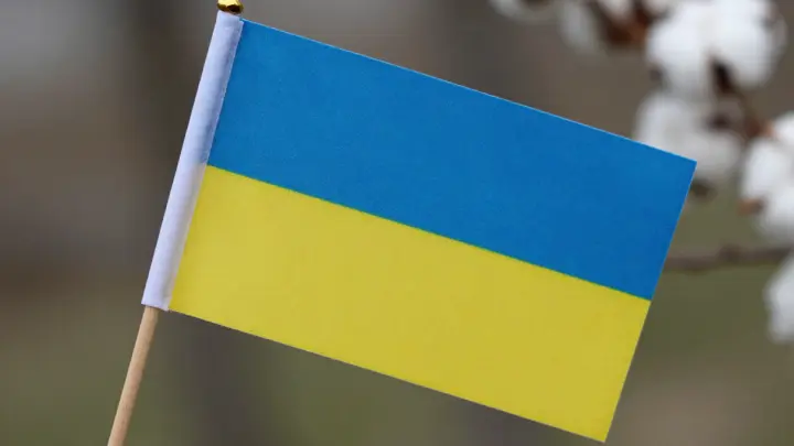 Асафов: нынешние власти Украины не организуют референдум с честными итогами